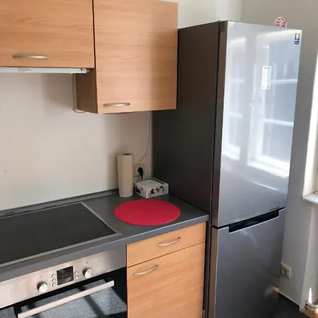 Braunova Vila - Luxusní Apartmán Se Zahradou Apartamento Jablonec nad Nisou