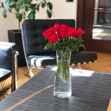 Braunova Vila - Luxusní Apartmán Se Zahradou Apartamento Jablonec nad Nisou